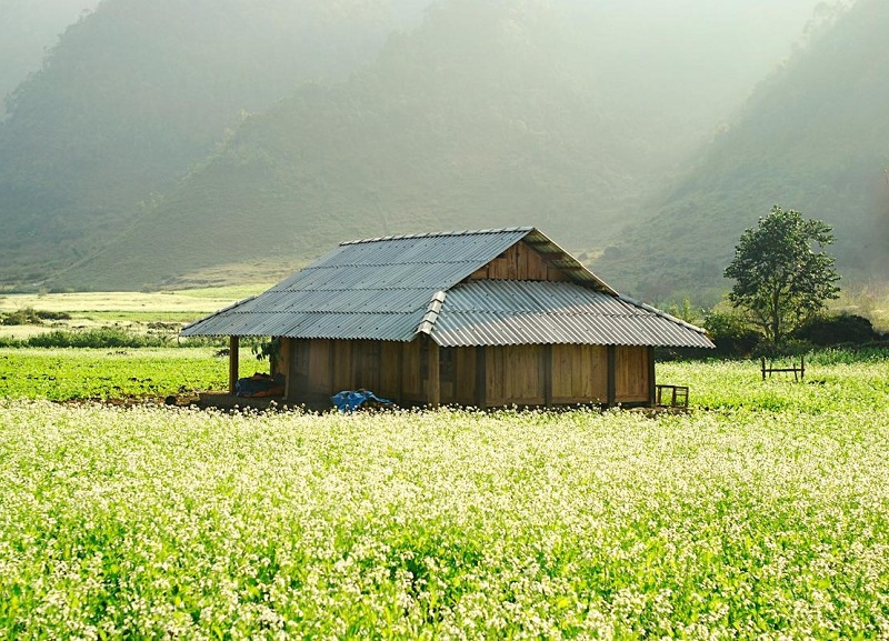 6 địa điểm ở Mộc Châu đẹp mê mẩn lòng người