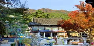 Đắm chìm trước vẻ đẹp cổ kính của đền Donghwasa - Hàn Quốc